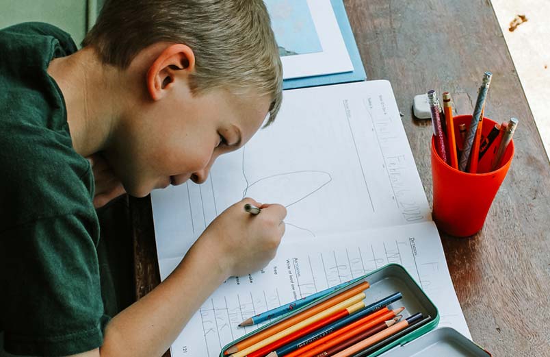 A boy filling out a worksheet for school.