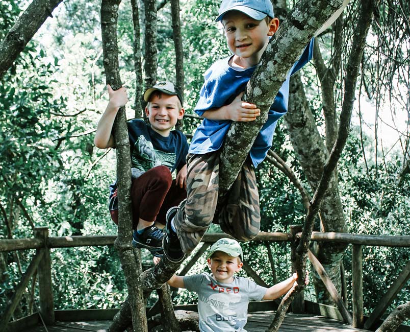 Three boys climbing a tree and smiling. 
