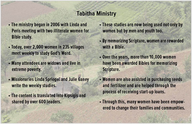 Statistics about the Tabatha Ministry