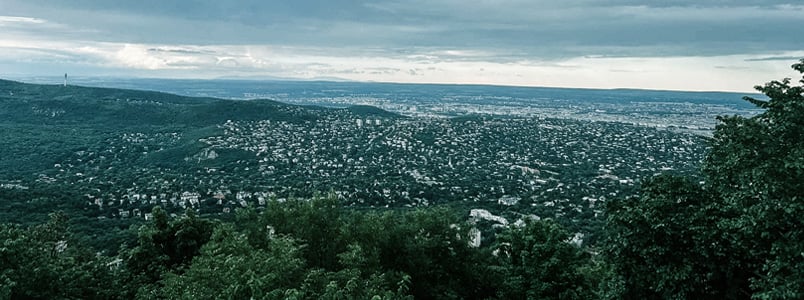 The view of a large city from a hill.